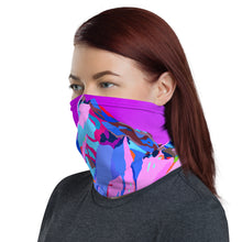 Load image into Gallery viewer, Buff / Neck Gaiter
